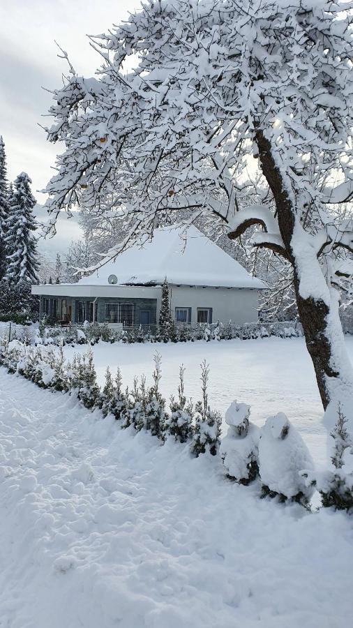 Bambu Lodge @ Ossiachersee Bodensdorf Bagian luar foto