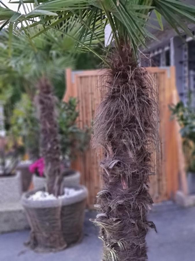 Bambu Lodge @ Ossiachersee Bodensdorf Bagian luar foto